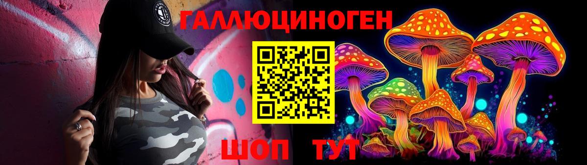 Галлюциногенные грибы Psilocybe Малгобек